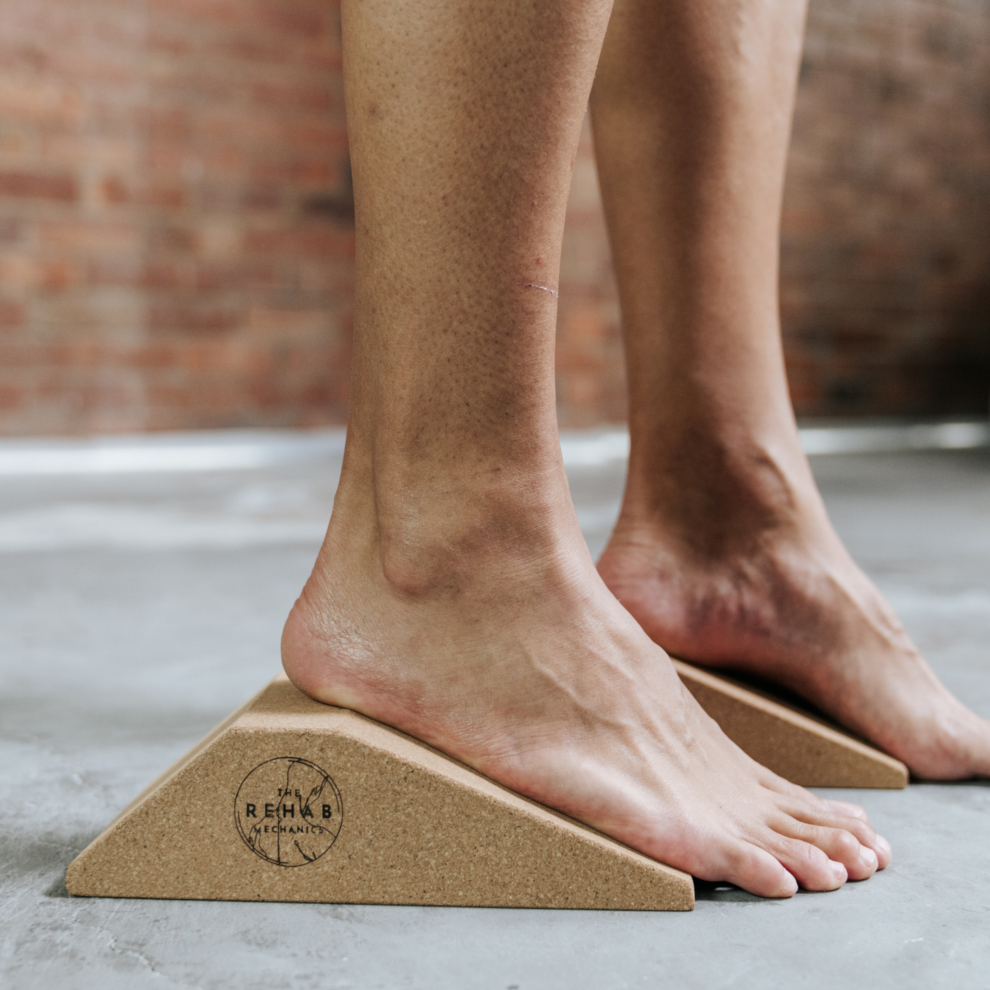 Ankle Sprains Program-The Rehab Mechanics