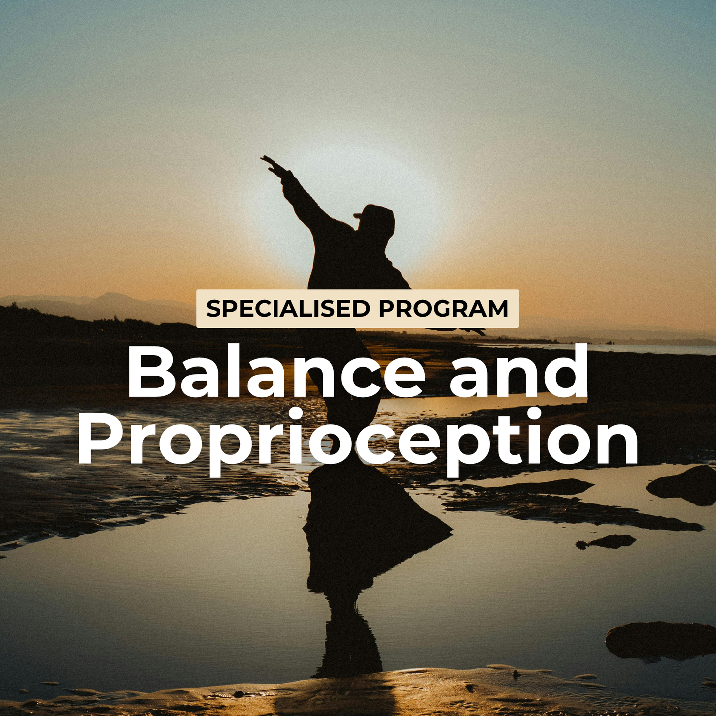 Balance and Proprioception Program-The Rehab Mechanics